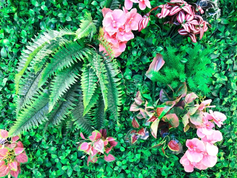 Jardim Vertical