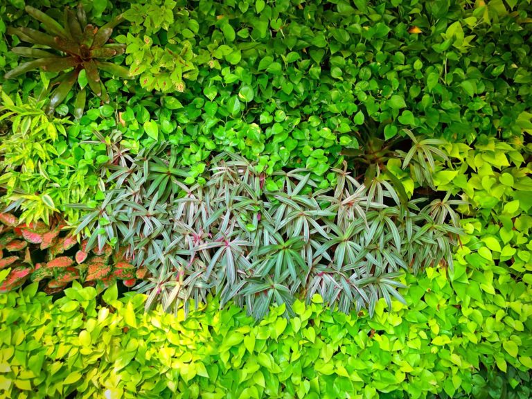 Jardim Vertical