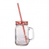 Caneca Copo De Vidro Retrô C Canudo Tampa Poa / Xadrez 400ml-Cores - 2